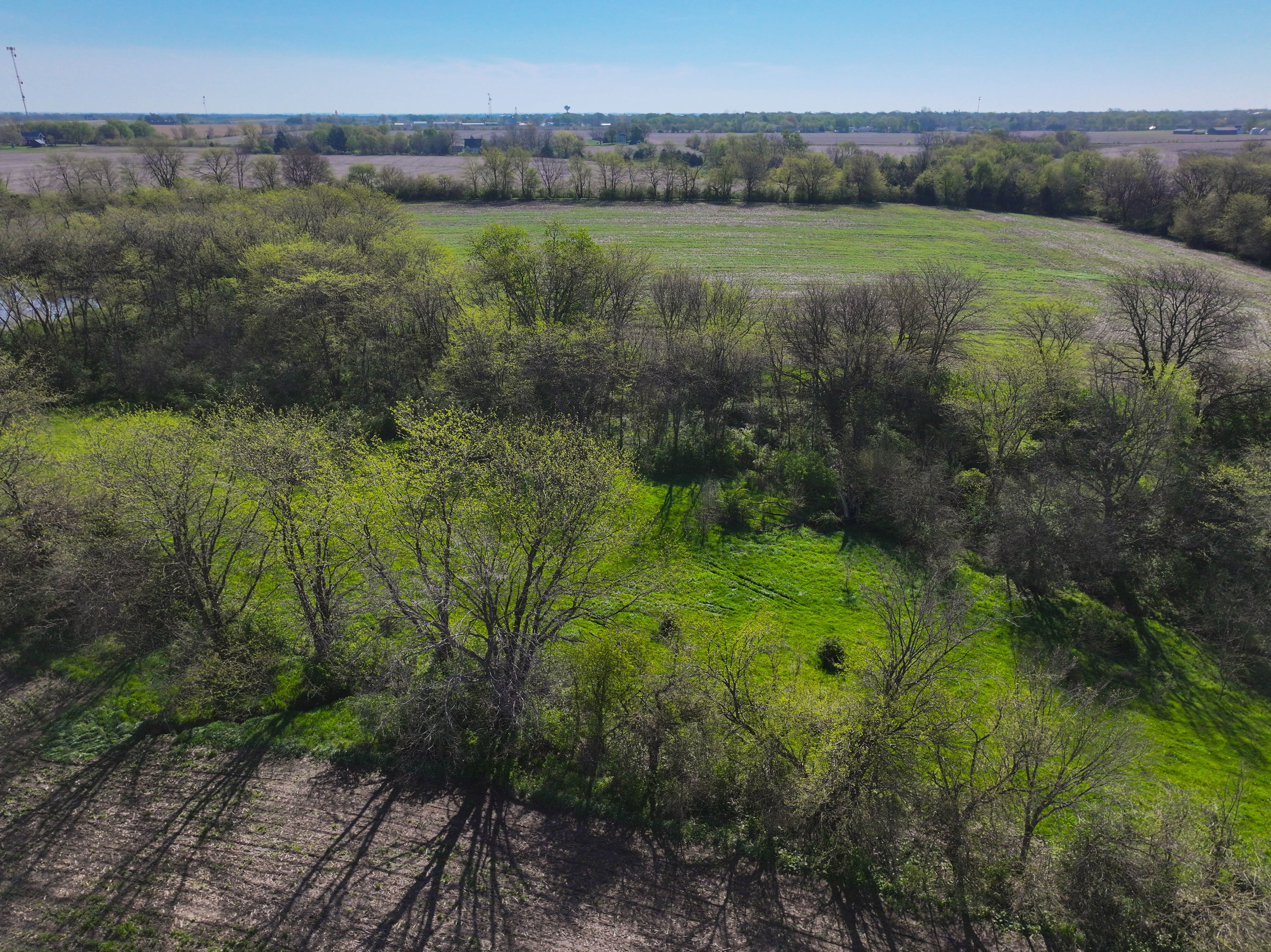 Listing Photo: Henry County Rural Building Sites-16